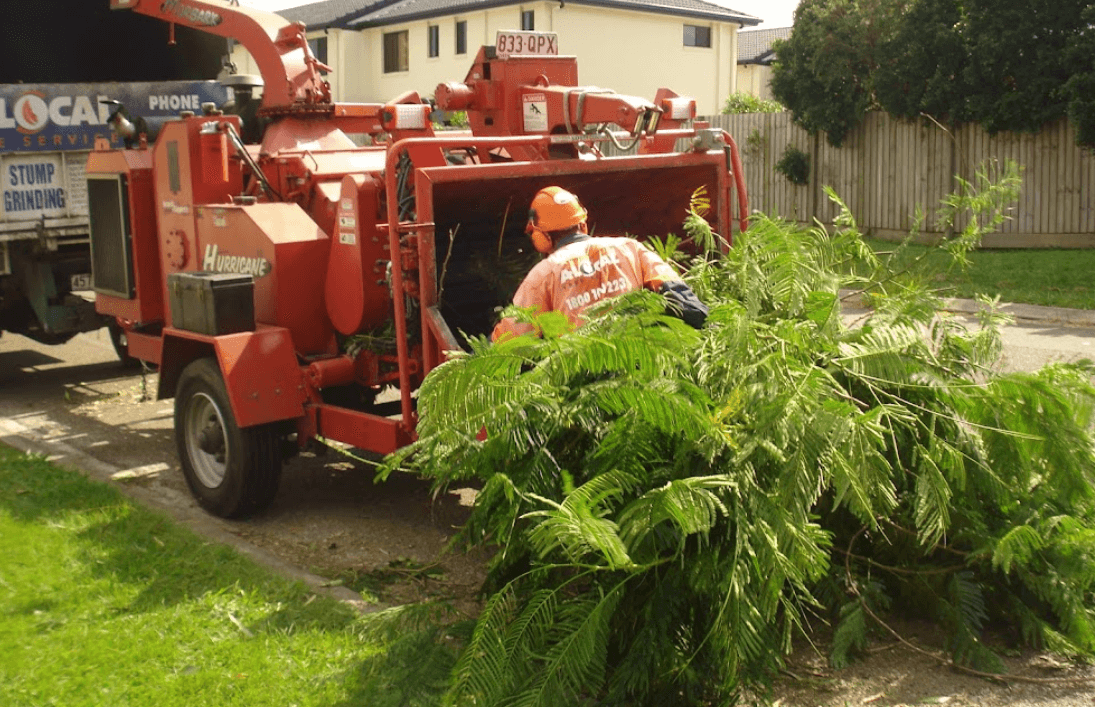 Tree mulching process after tree removal